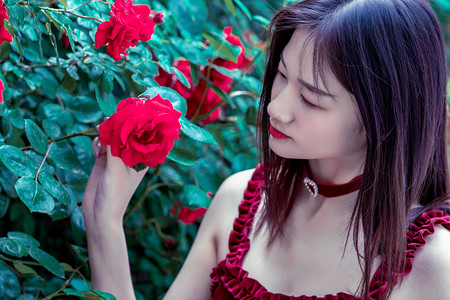 国际公路运输（TIR）进口模式在浙江首次落地